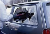 В Вологде полицейские раскрыли серию краж из автомобилей